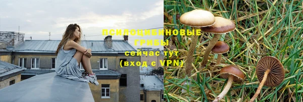 стаф Алексеевка
