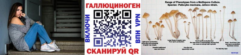 Псилоцибиновые грибы Psilocybe  Юрьев-Польский 